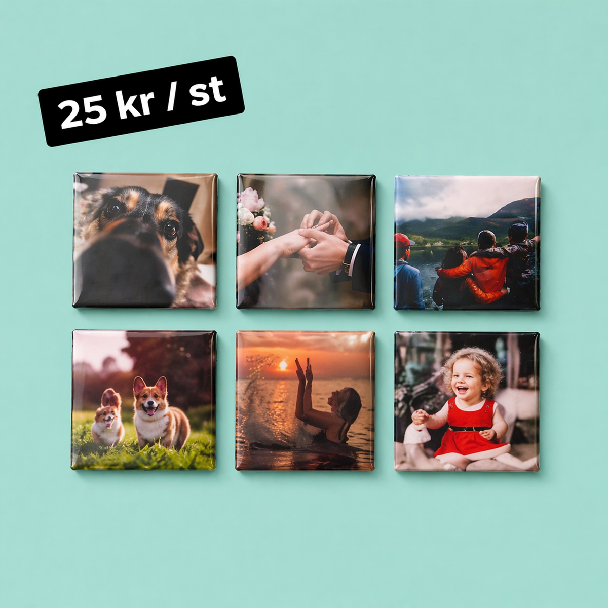 6-pack fotomagneter