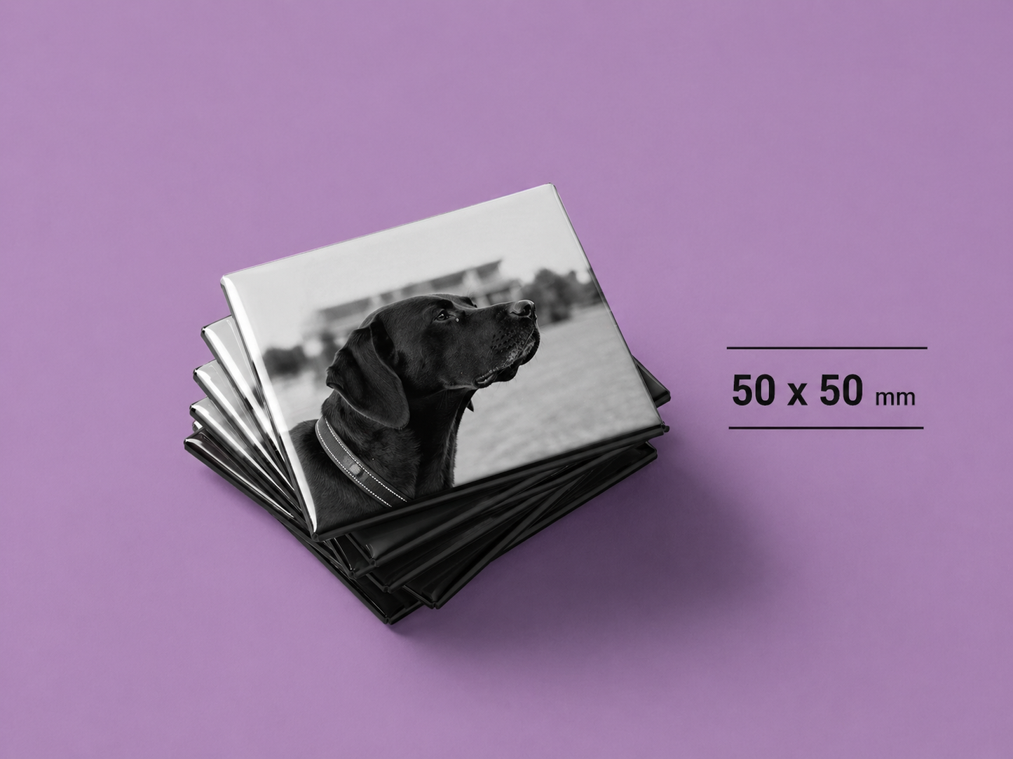 9-pack fotomagneter